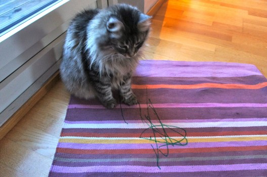 Kreativ komplettering