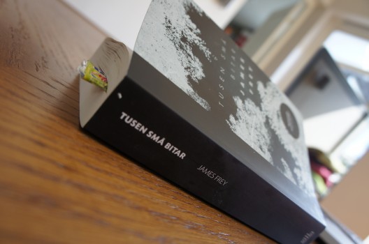 Att återse ett minne