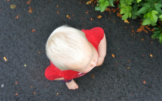 En liten morgonpromenad