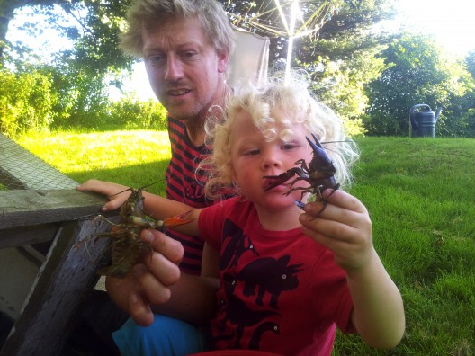 Den delikata kosten att mörda kräftor