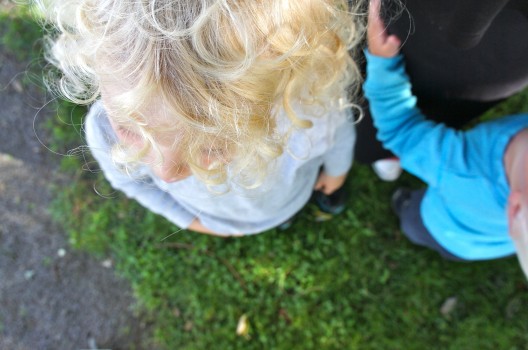 Sommar