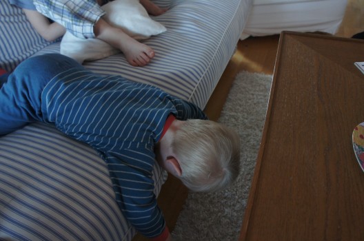 Nyklippt