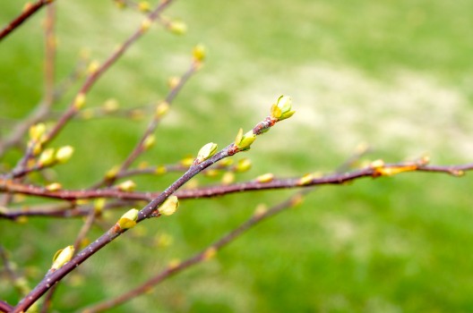 Nej Karin, det gör inte ont