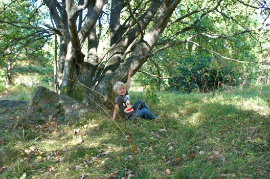 Mänsklig intelligens