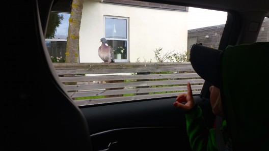 Fredagen den 16e maj