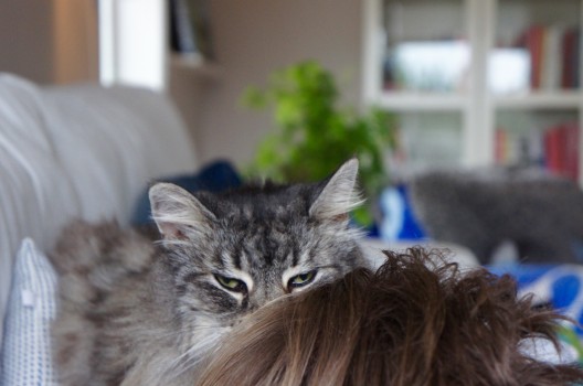 Hur jag än vänder mig är röven bak på en måndag