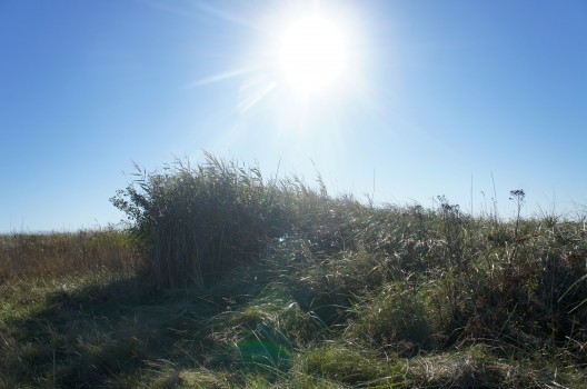 Stranden! Solen! Söndagen!