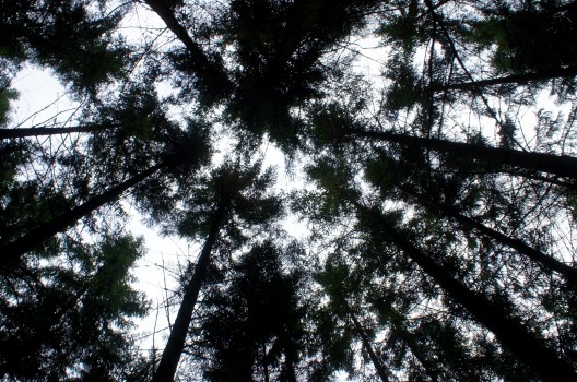 Att pussla ett pussel när bitar fattas