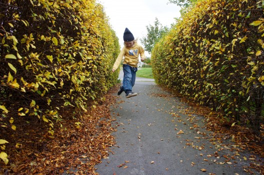 Today is not the day men en får ta sig igenom den likförbannat