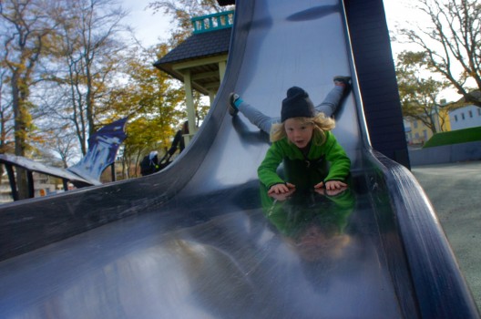 Livet går snabbt men evolutionen går långsamt