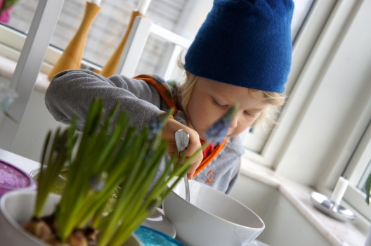 Min son fyraåringen, del 492